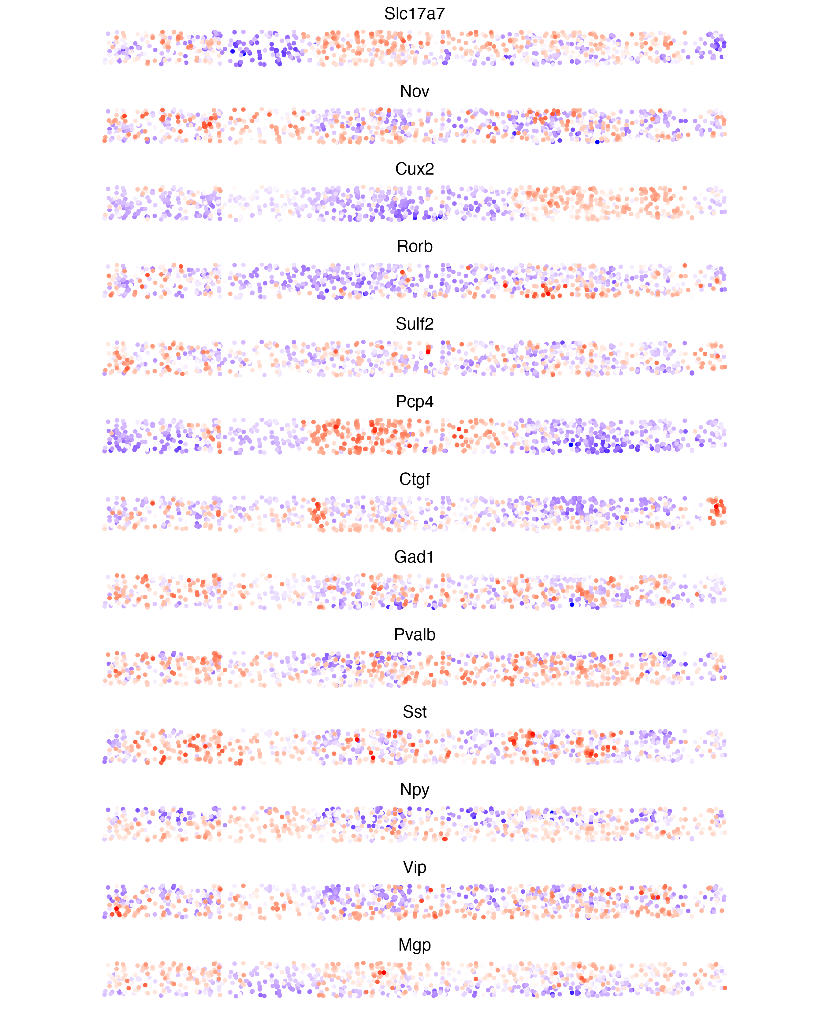 2D plot of feature expression across cross section. This is similar to Fig2E from the paper. This plot includes the hippocampal region which is cropped out of the original.