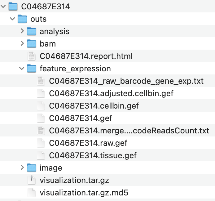Dataset file structure