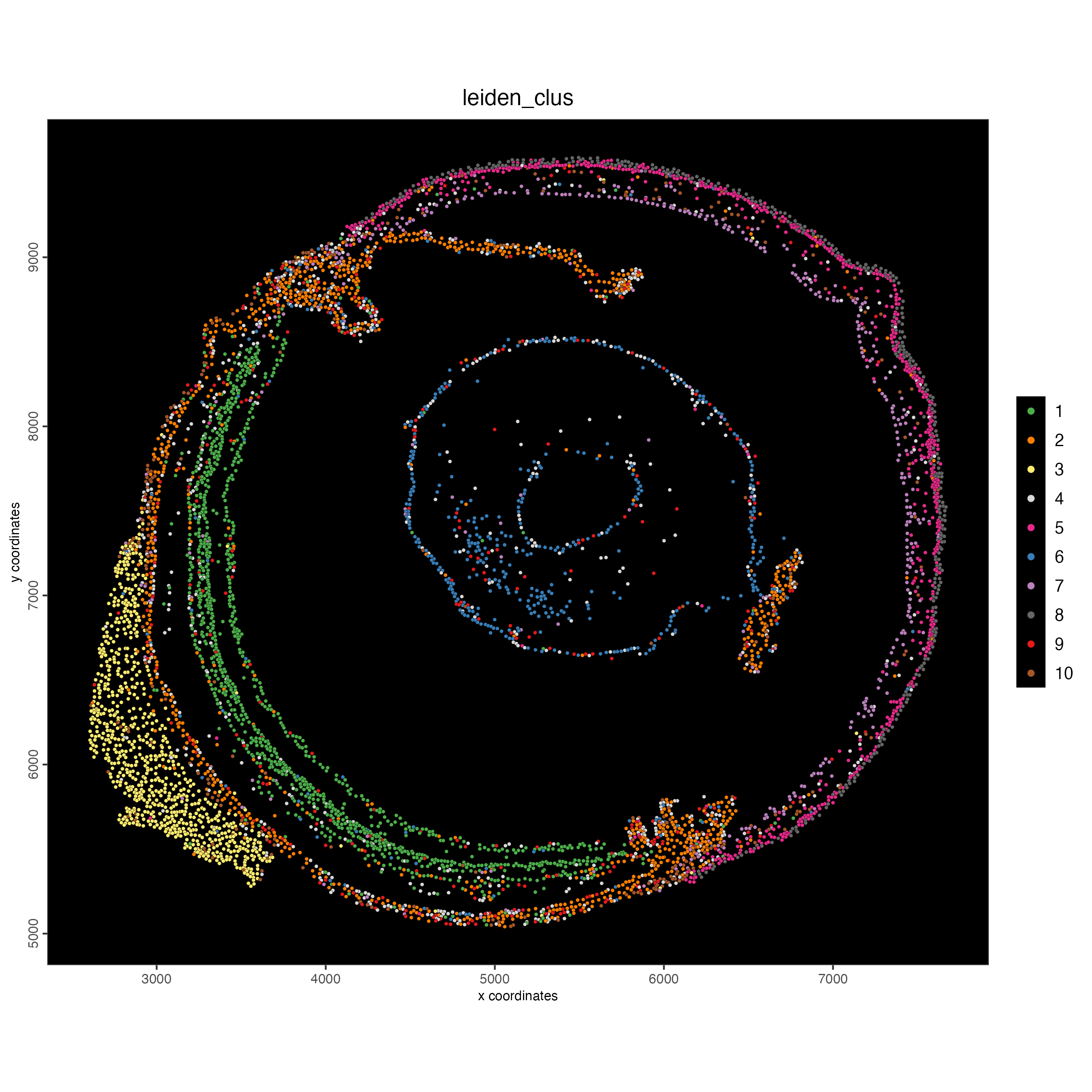 Spatial plot, colors indicate the Leiden clusters.