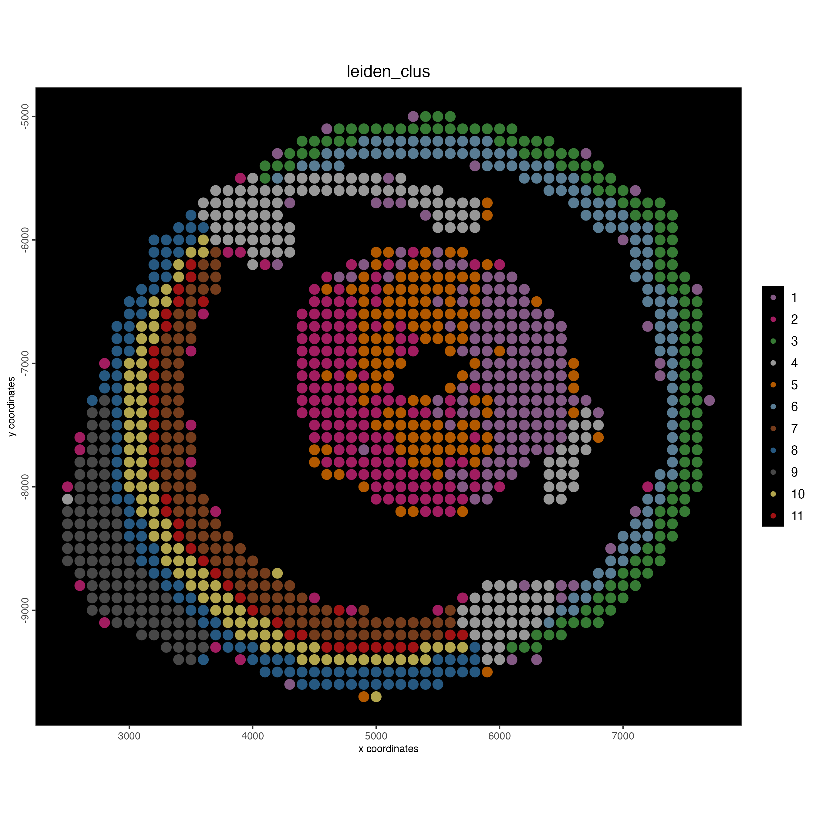 Spatial plot, colors indicate the Leiden clusters