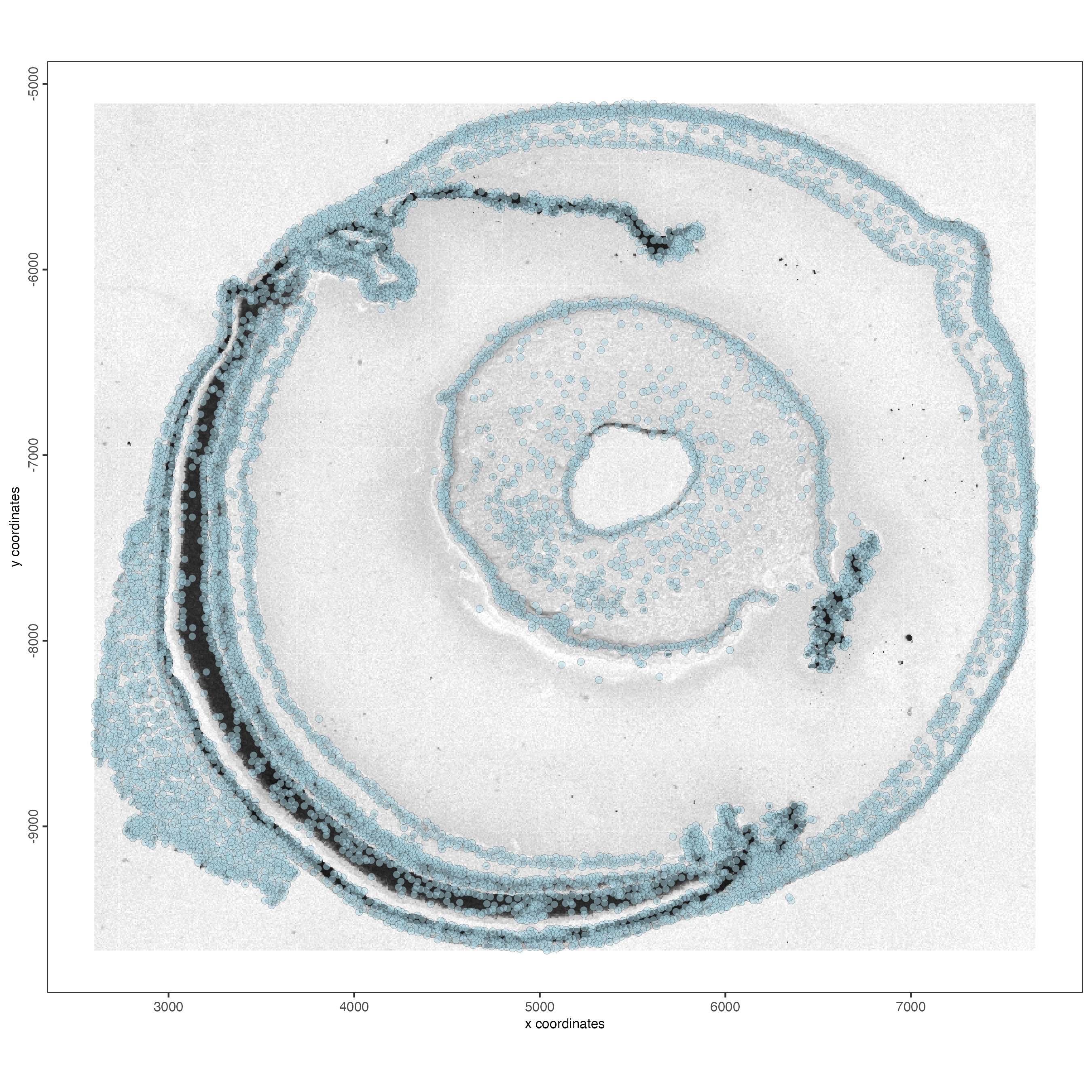 Spatial distribution of cells