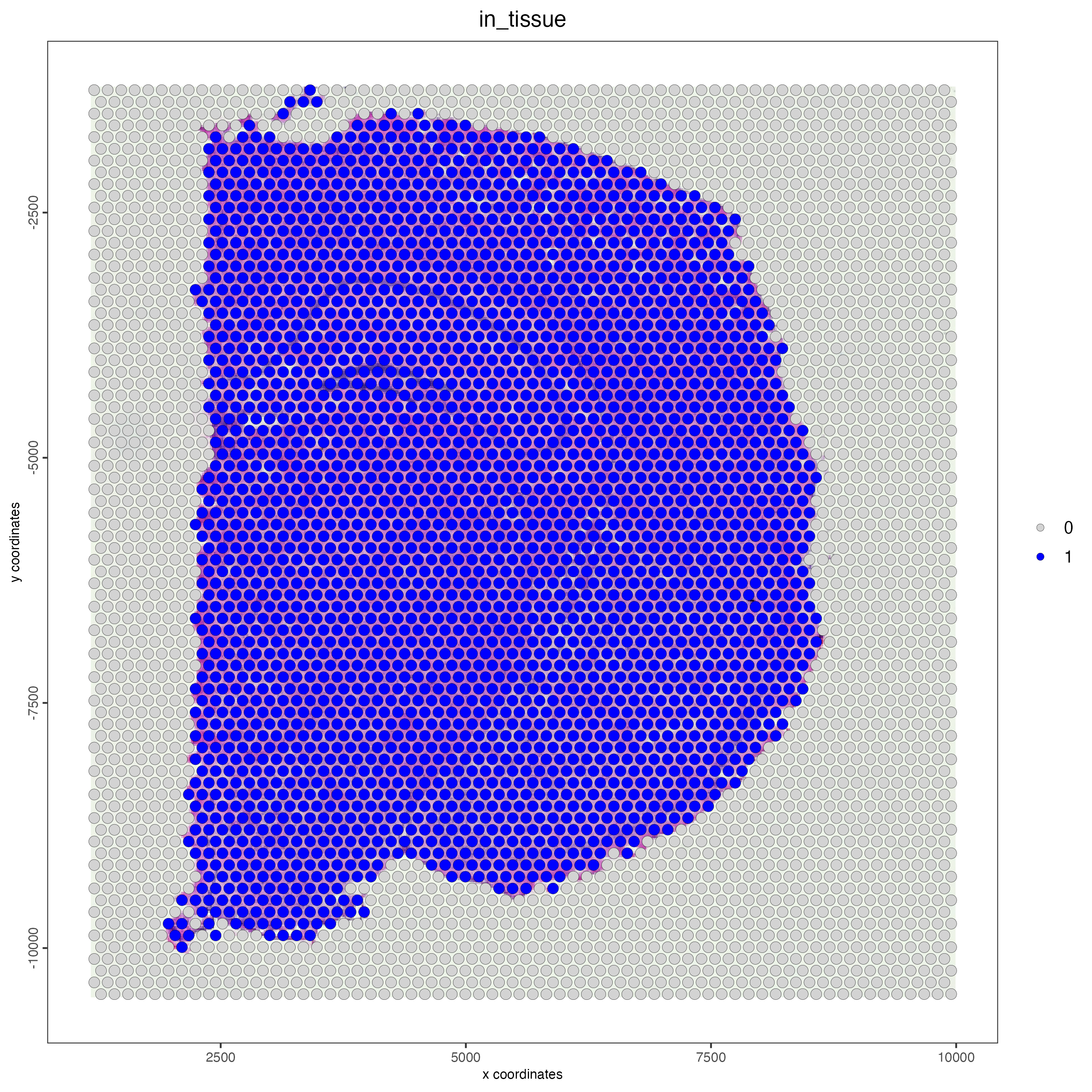 Spatial plot of the Visium mouse brain sample, color indicates wheter the spot is in tissue (1) or not (0).