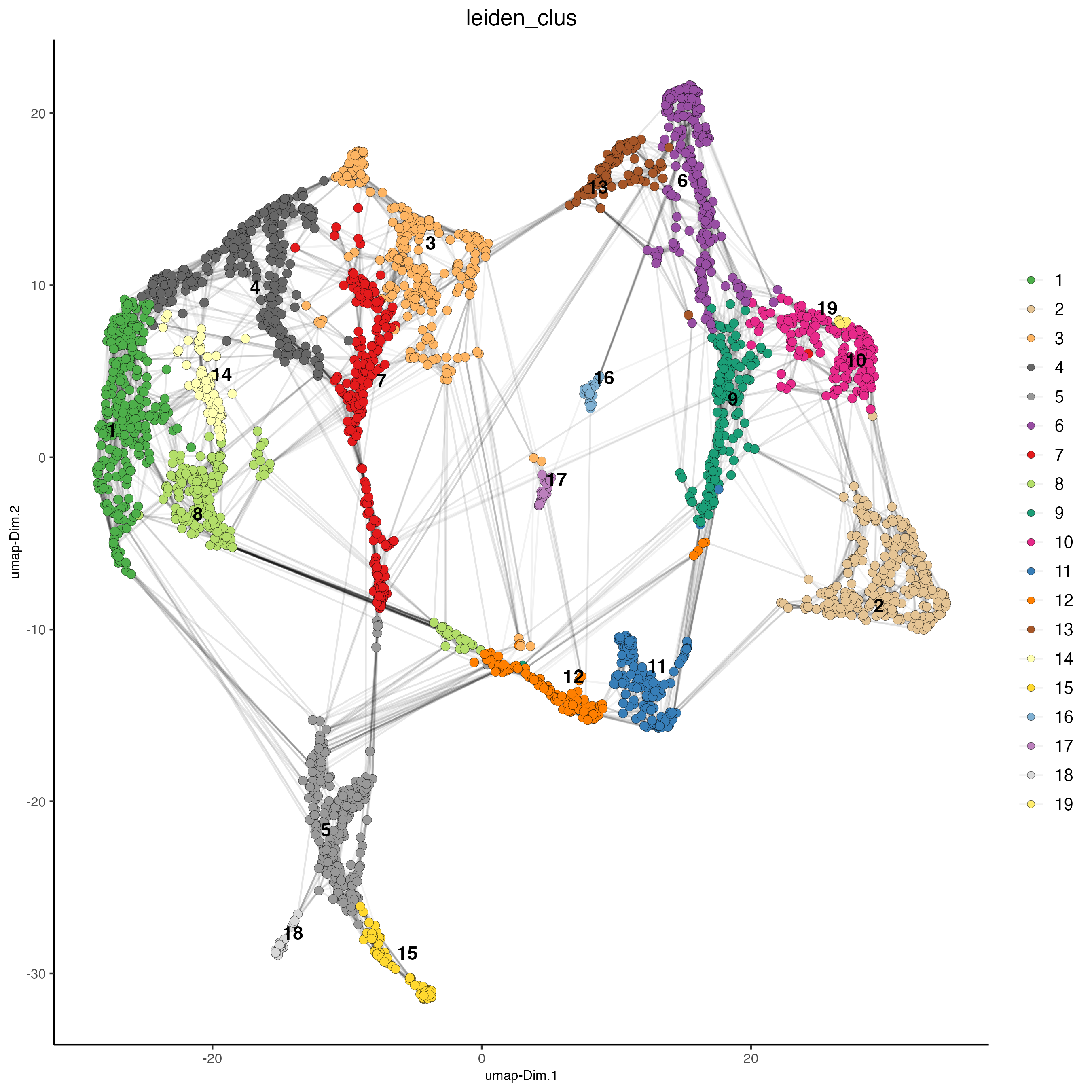 UMAP plot, colors indicate the Leiden clusters.