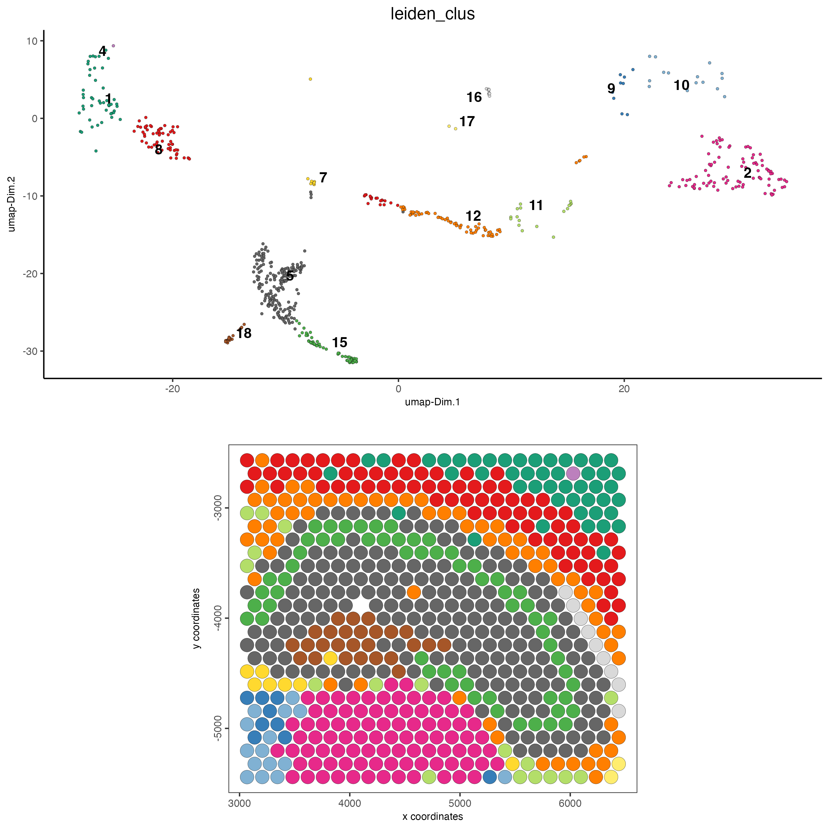 Dimension and spatial plot of a subset object.
