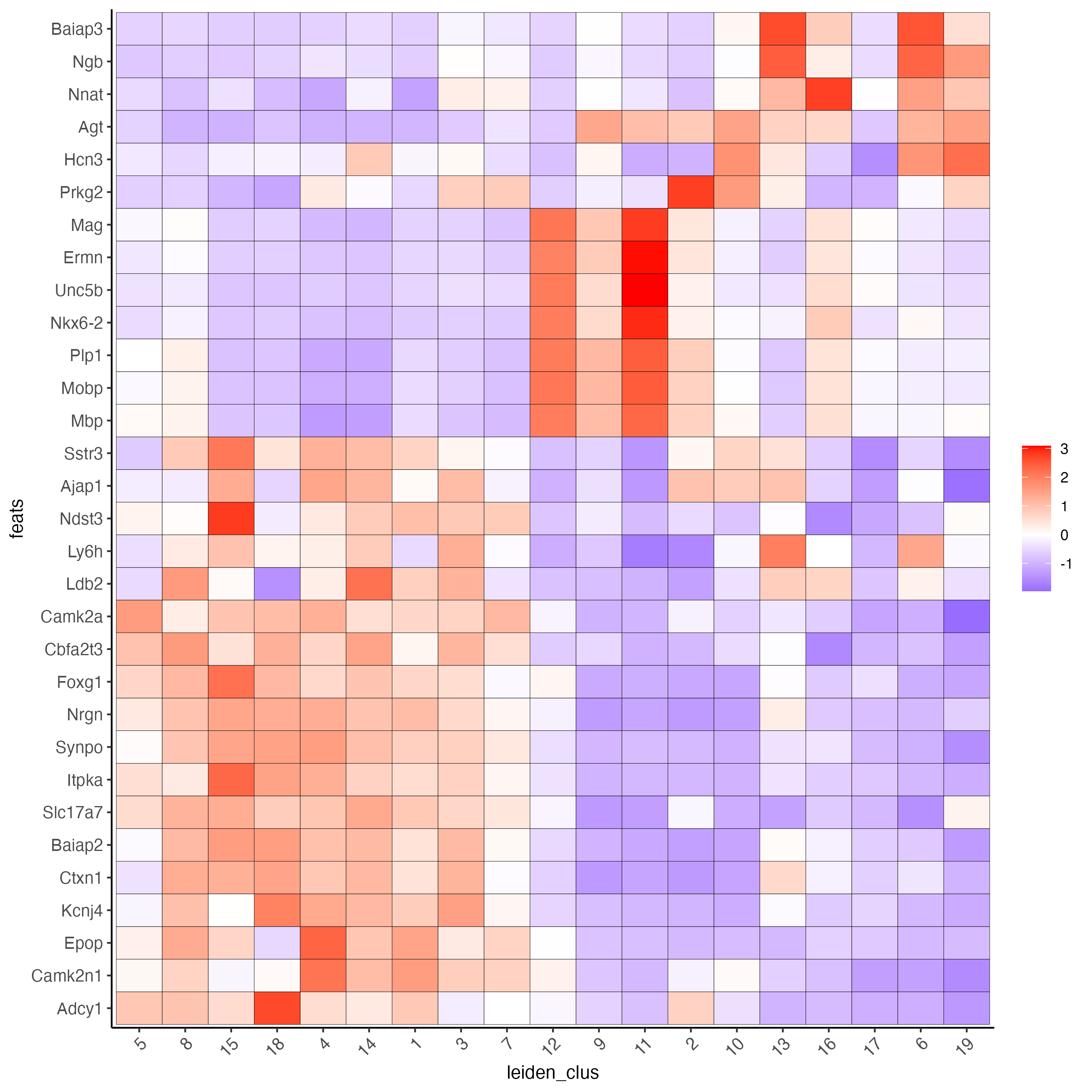 Heatmap showing the top scran genes normalized expression per Leiden cluster.