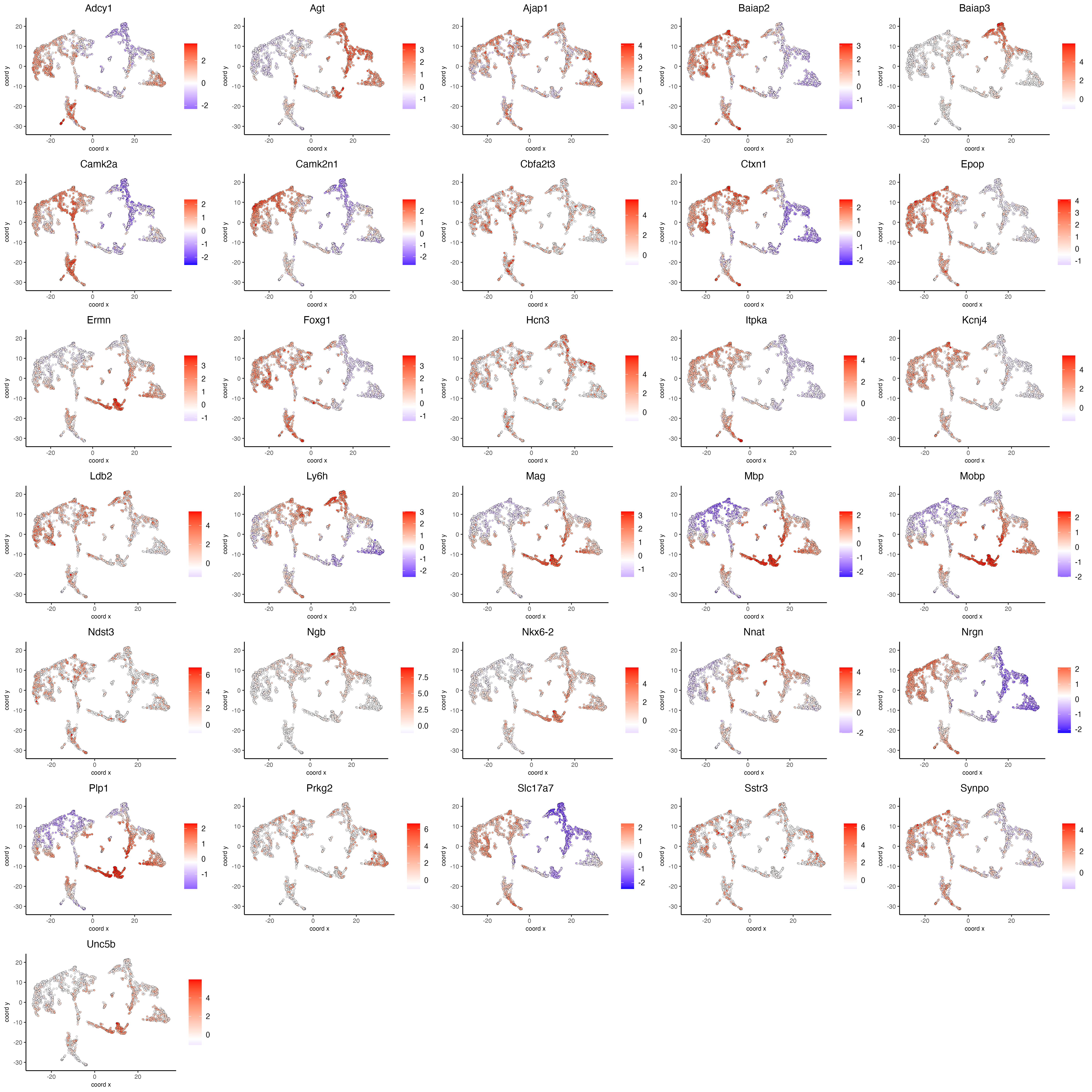 Spatial distribution of the top scran genes scaled expression.