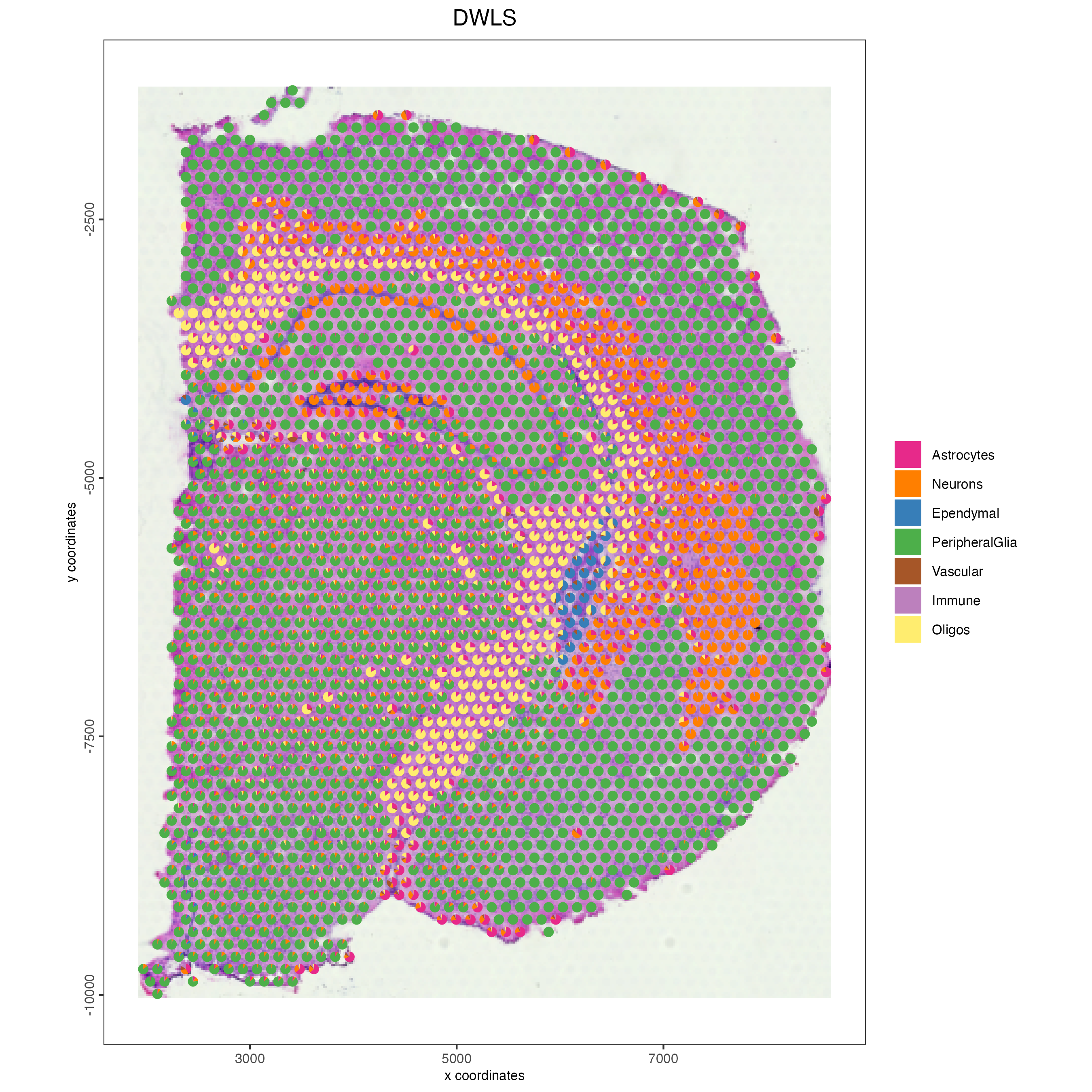 Spatial deconvolution plot showing the proportion of cell types per spot, identified using the DWLS method.